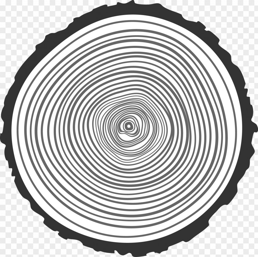 Hand Drawn Ring Vector Tree Aastarxf5ngad Wood Illustration PNG