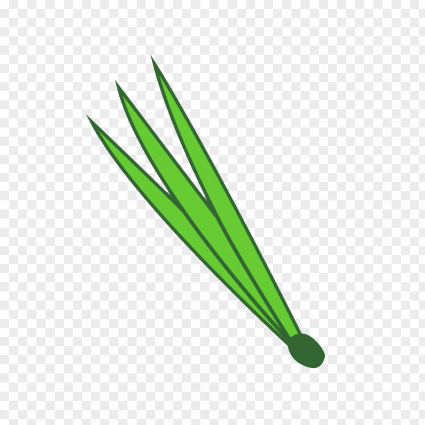 Line Green Leaf PNG