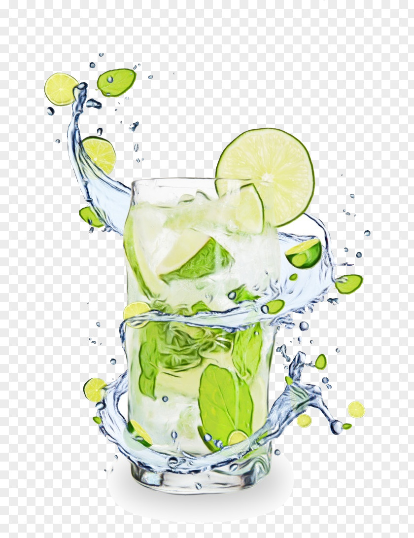 Plant Limonana Water Drink Cocktail Garnish Lime Highball Glass PNG