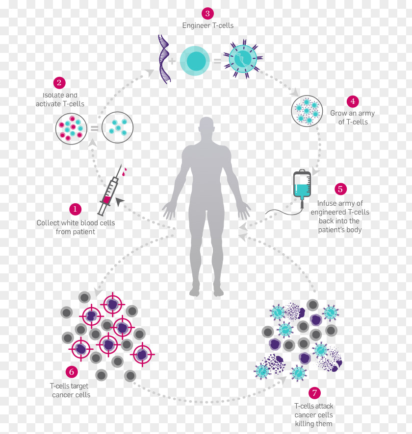 Cancer Cell Bodies Immunotherapy Immunology PNG