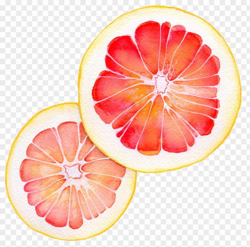 Grapefruit Juice Vegetarian Cuisine Pomelo Blood Orange PNG