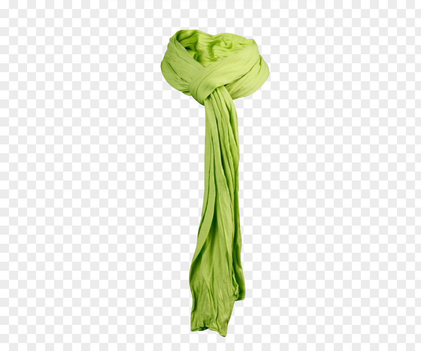 Green Scarf Silk Stole PNG