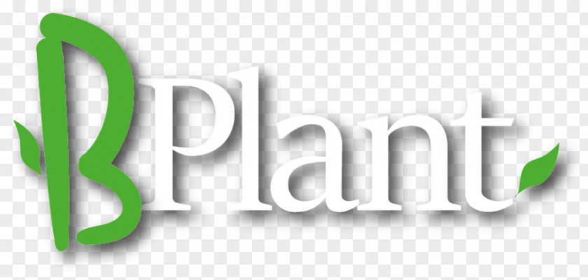 Home Plant Plants Logo Product Design Font PNG