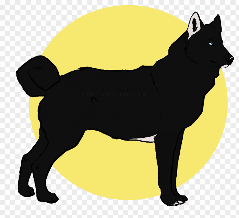 Puppy Schipperke Finnish Spitz Dog Breed Snout PNG