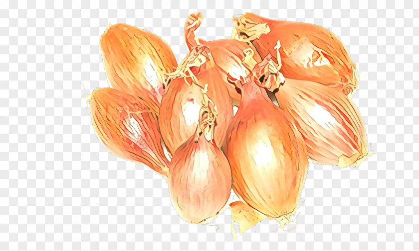 Shallot Yellow Onion Plant Vegetable Food PNG