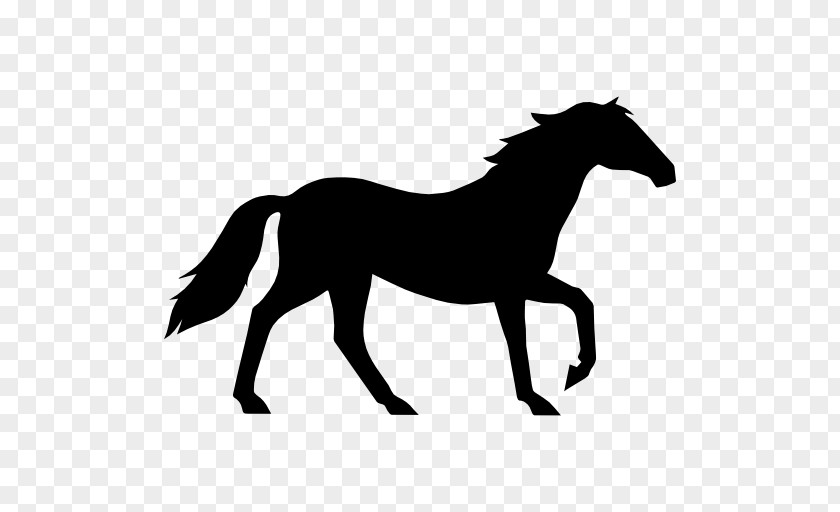 Tennessee Walking Horse Equestrian Standing Collection Clip Art PNG