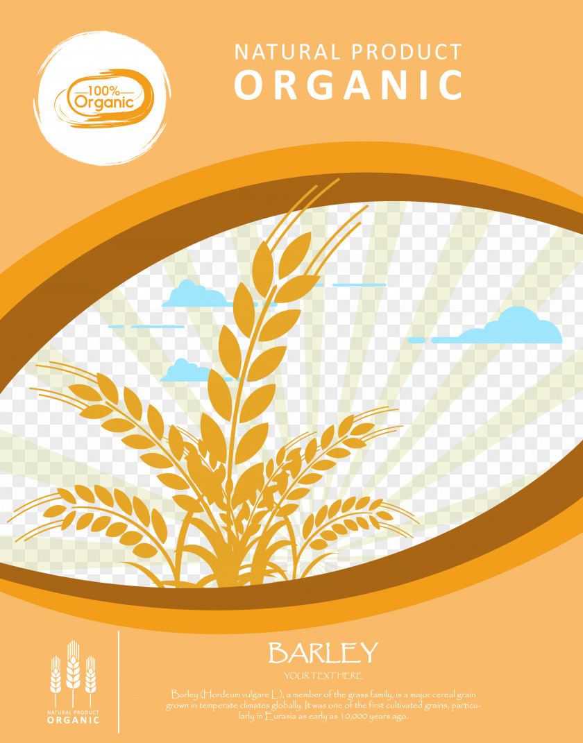 Wheat Greeting Card PNG