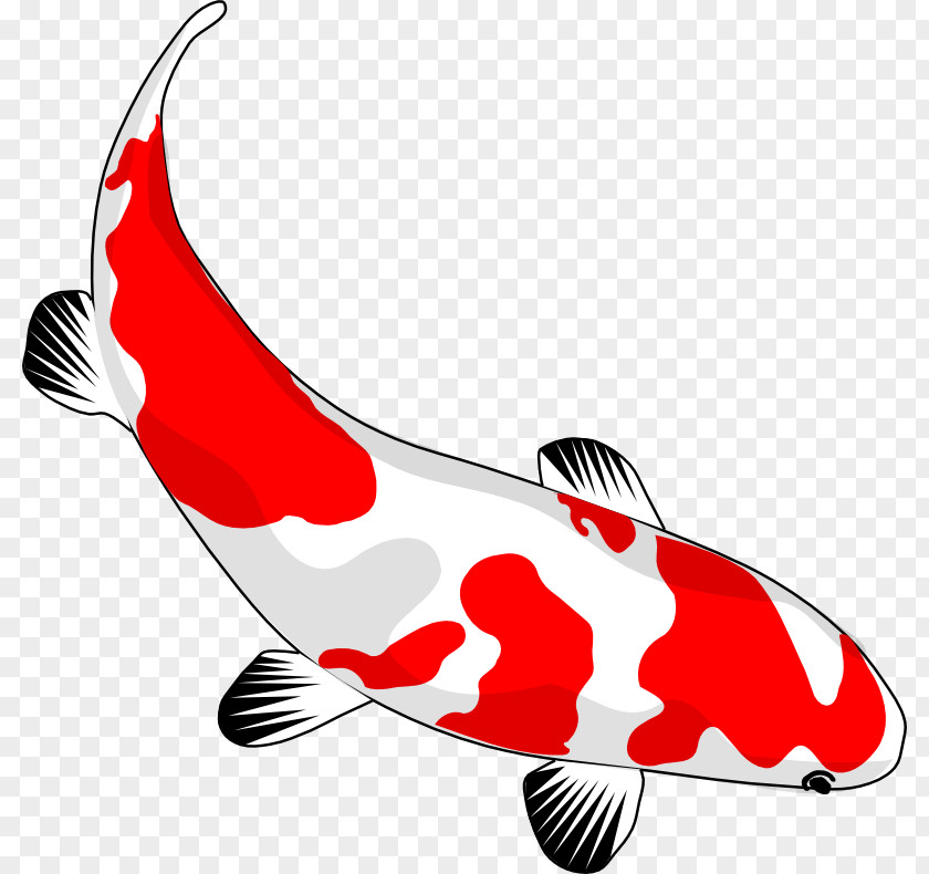 Asian Culture Pictures Koi Goldfish Drawing Clip Art PNG