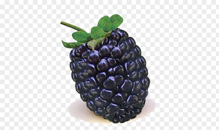 Blackberry BlackBerry Storm 2 Fruit PNG