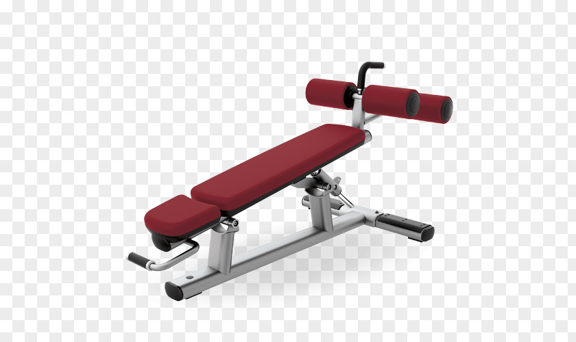 Bodybuilding Bench Abdominal Exercise Crunch Equipment PNG