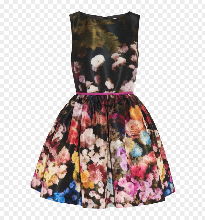 Floral Dress Transparent Taffeta Sleeve Fashion Chiffon PNG
