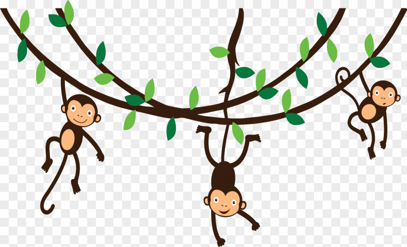 Hanging Monkey Spider Photography Clip Art PNG