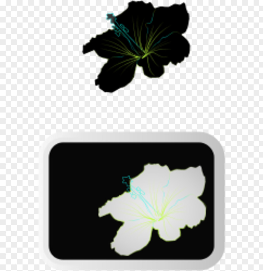 Picture Of Hibiscus Plant Shoeblackplant Flower Clip Art PNG