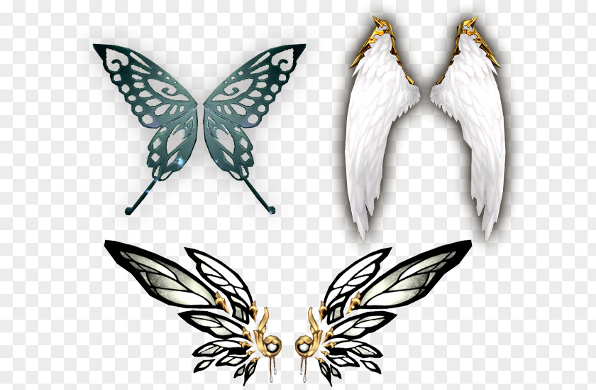9th Anniversary Celebration Mabinogi Butterfly Wing Nymphalidae Moth PNG