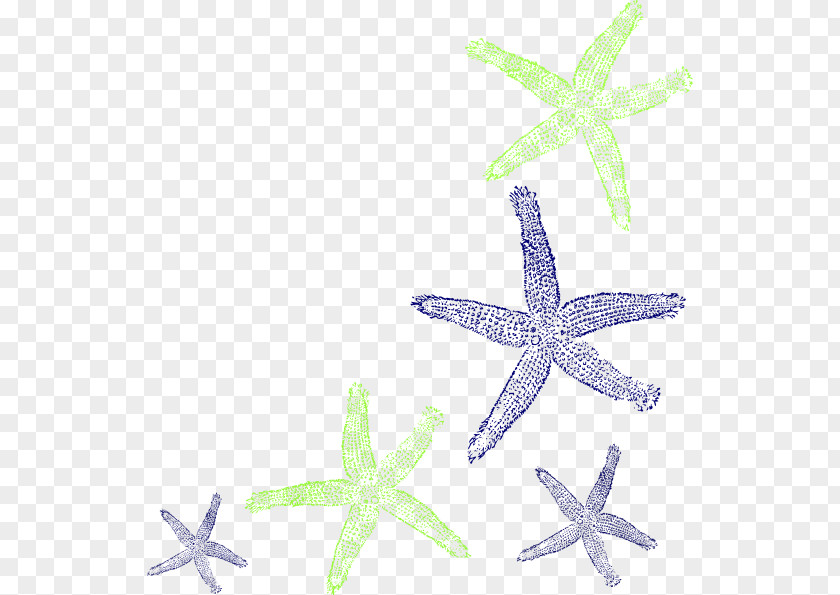 Blue Starfish Drawing Clip Art PNG