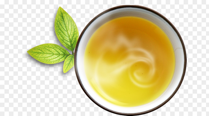 Cup Tea Download Mint Clip Art PNG