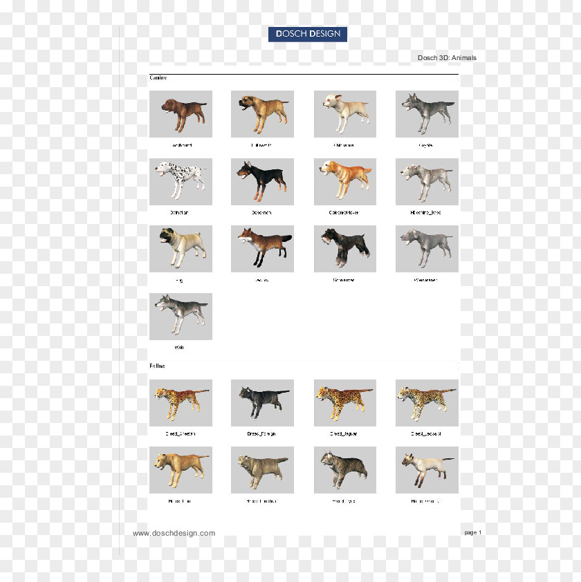 Dog Coyote Breed Animal 3D Computer Graphics PNG