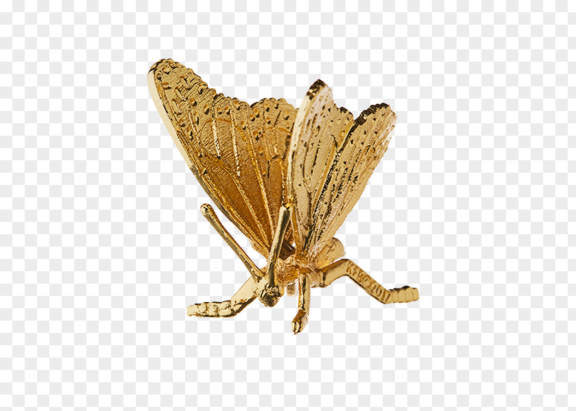 Gold-plated Butterfly Canberra Shepparton Gold Plating PNG