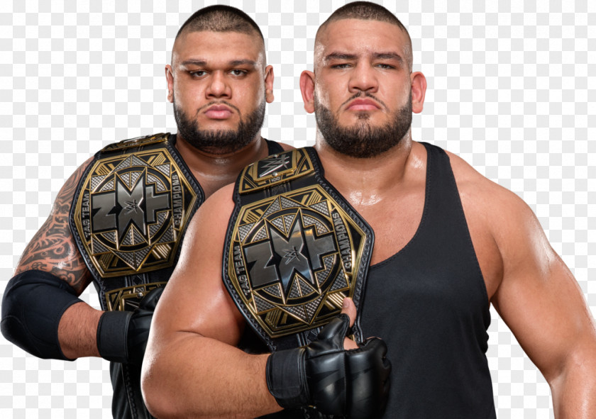 Injury Trouble Gzim Selmani Johnny Gargano The Authors Of Pain NXT Women's Championship Tag Team PNG