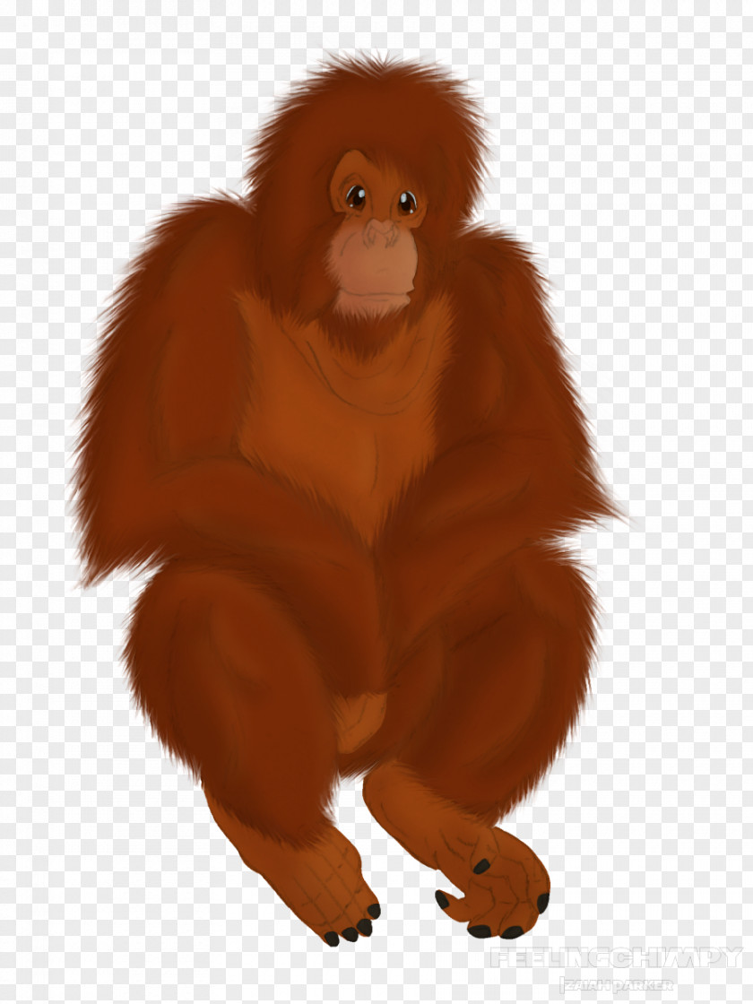 Orangutan Gorilla Primate Vertebrate Monkey Mammal PNG