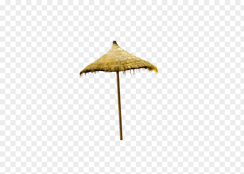 Parasol Umbrella Beach Icon PNG