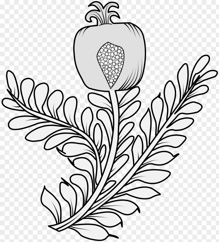 Pomegranate Body Butter Clip Art Coloring Book Drawing Illustration Vector Graphics PNG