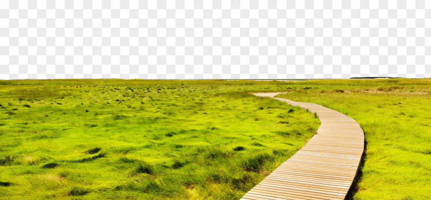 Road Between The Meadow Landscape Photography Painting Landscaping PNG