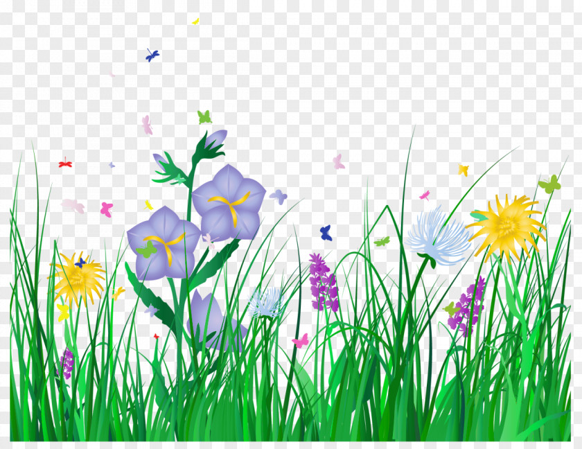 Transparent Grass And Flowers Clipart PNG