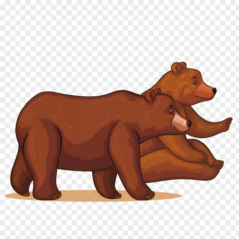 Vector Two Bears Lion Bear PNG