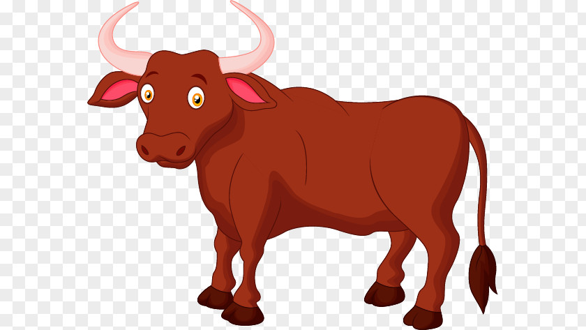 Animal Cow Cattle Cartoon Farm Illustration PNG