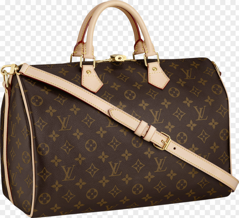 Chanel Louis Vuitton Handbag Strap PNG