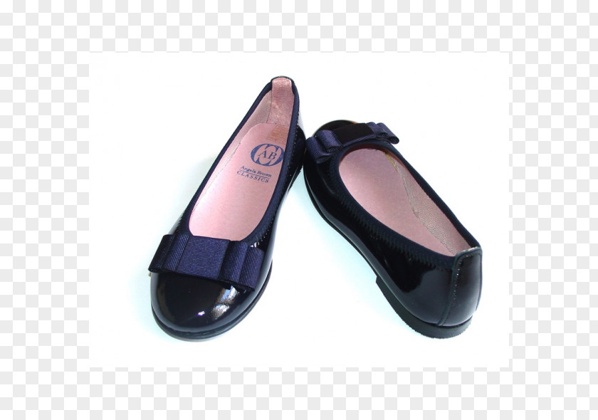 Cool Boots Shoe Ballet Flat Footwear PNG