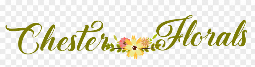 Delivery Person Logo Chester Floral & Design Brand Desktop Wallpaper Font PNG