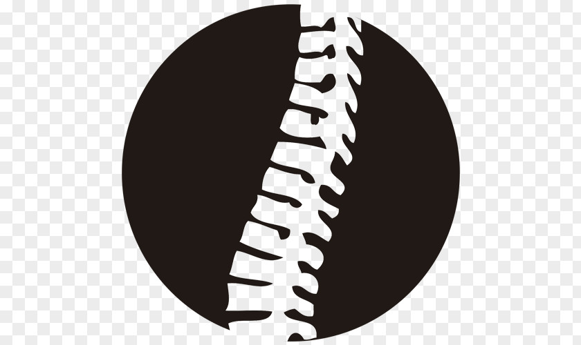 Fisioterapia Logo Vertebral Column Pain In Spine Low Back Necktie Chiropractor PNG