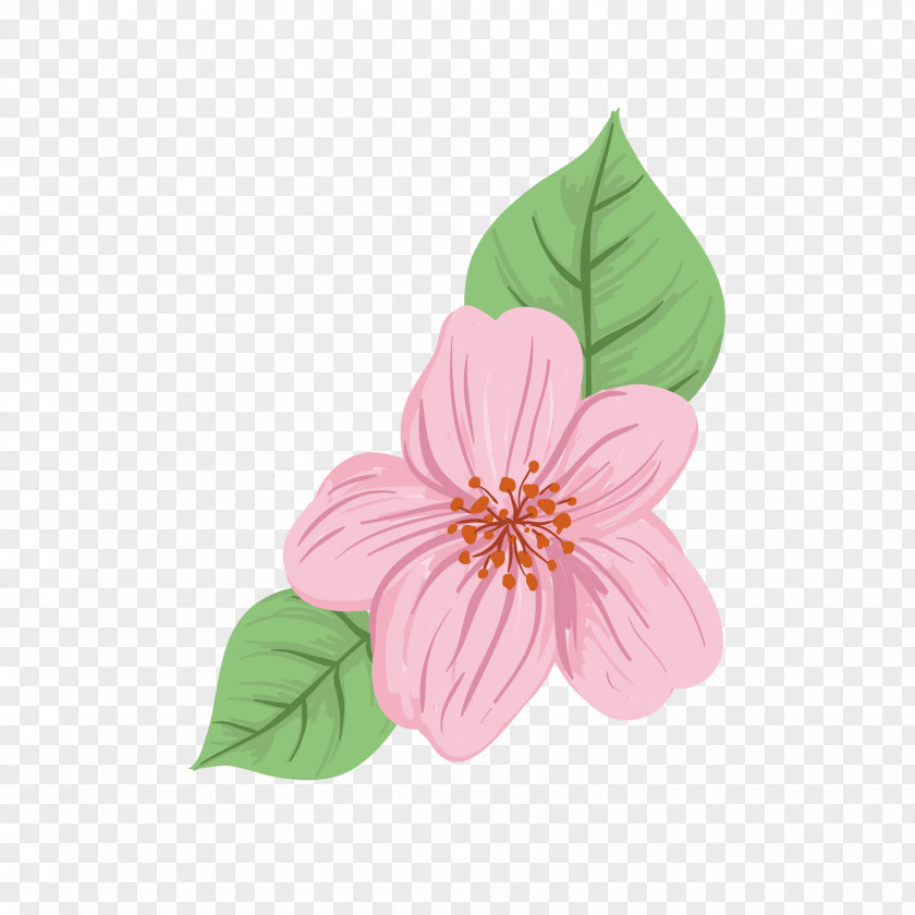 Flower Petal Cut Flowers Illustration PNG