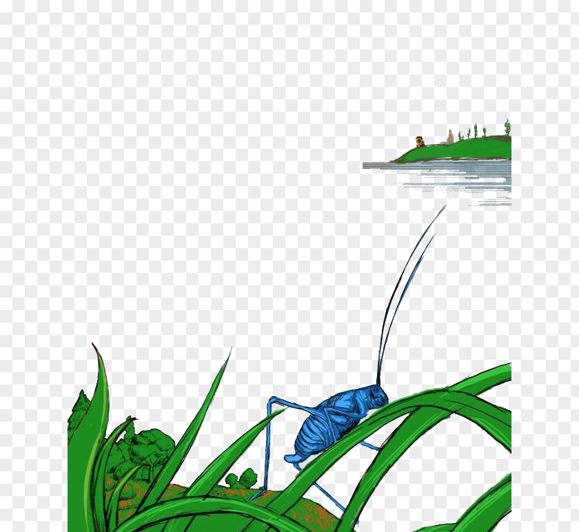 Grasshopper On The Branch Download Wallpaper PNG