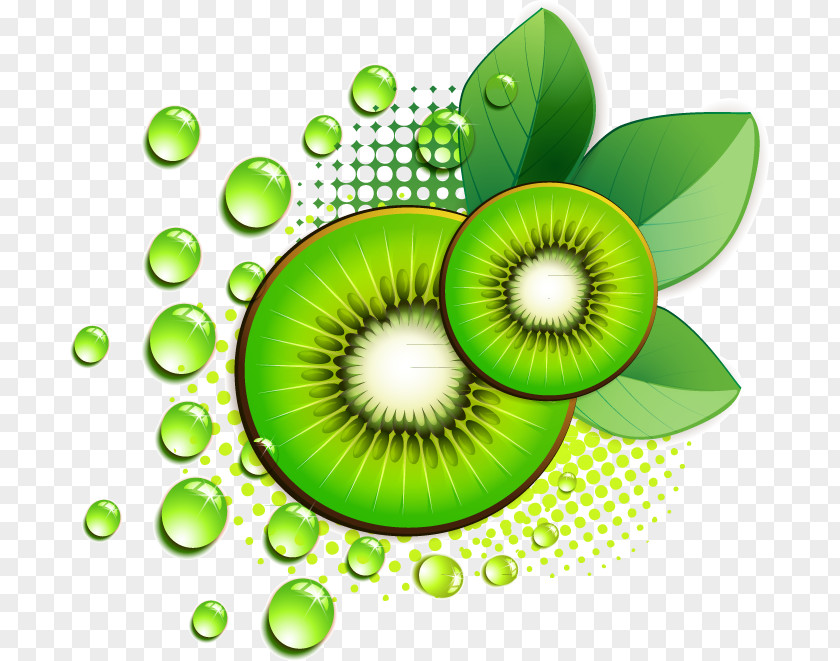 Green Kiwi Kiwifruit Carambola Clip Art PNG