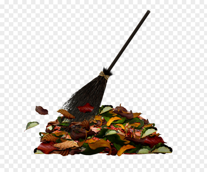 Harry Potter Transparent Clip Art Image Broom (Literary Series) PNG