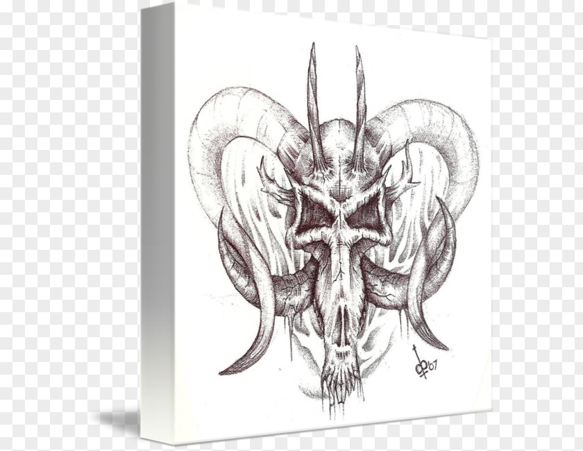 Skull Horn Goat Bone Drawing PNG