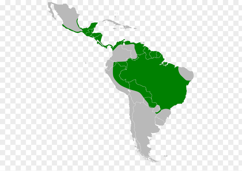 United States Latin America South Region Geography PNG