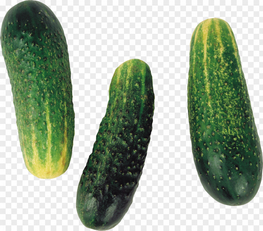 Cucumber Pickled Olivier Salad Vegetable PNG