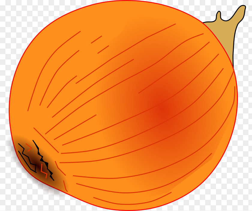 Onion Cliparts Calabaza Pumpkin Vegetable PNG