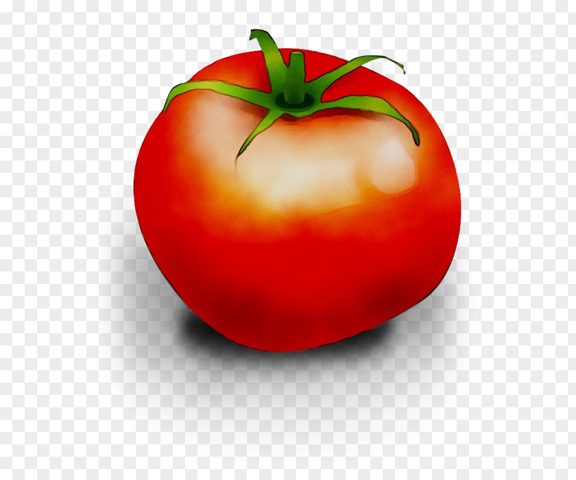 Plum Tomato Diet Food Bush PNG