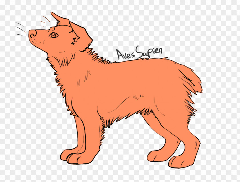 Puppy Dog Breed Finnish Spitz Red Fox Whiskers PNG