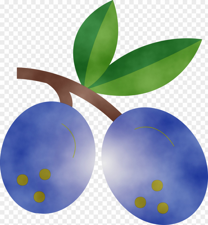 Blue Fruit Plant Leaf Tree PNG