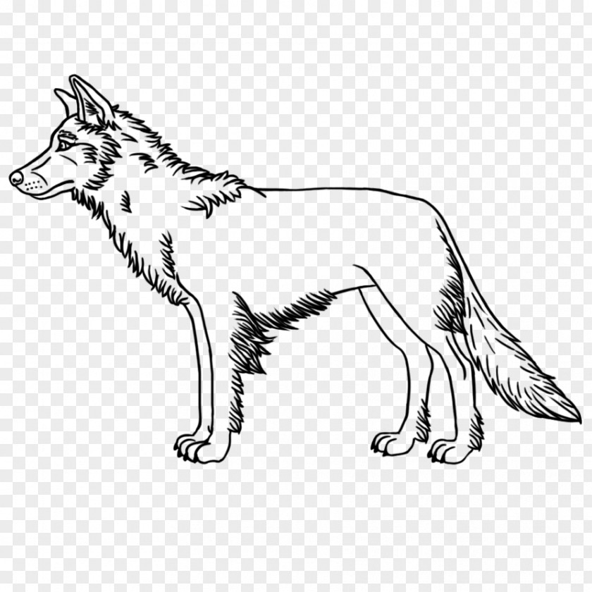 Cat Whiskers Dog Breed Red Fox PNG