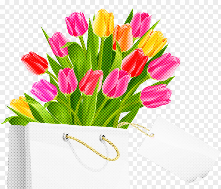 Flower Cut Flowers Tulip Flowerpot Plant PNG