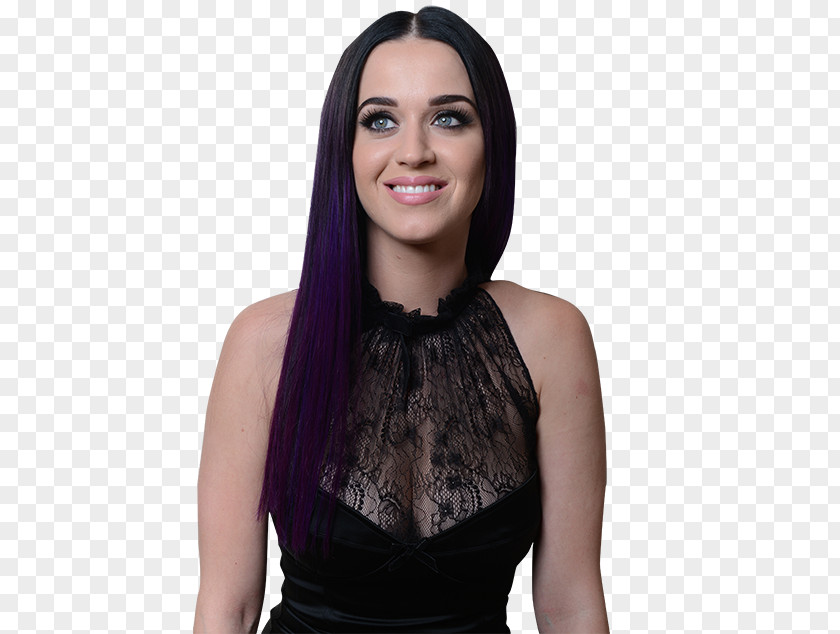 Katy Perry American Idol Ombré Hairstyle Blue Hair PNG
