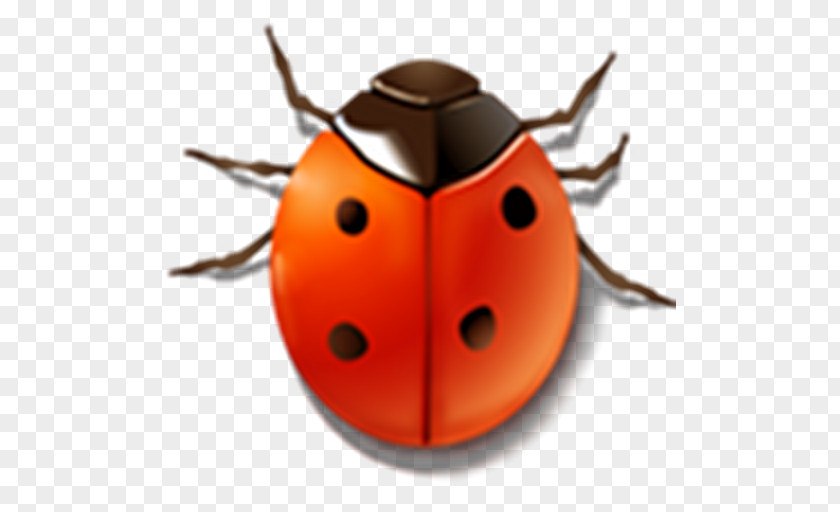 Ladybird Bug Tracking System Software Testing PNG