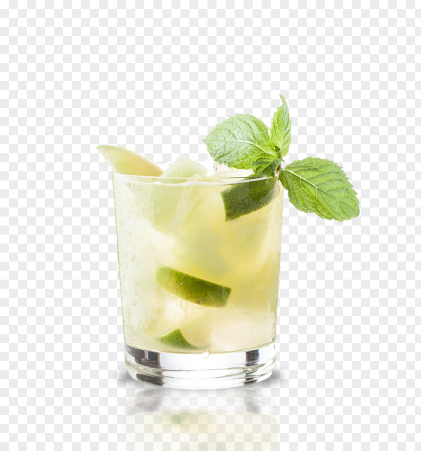 Lime Caipirinha Mojito Mai Tai Sea Breeze PNG